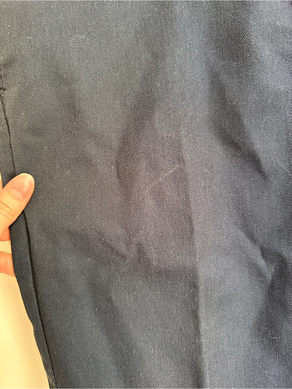 Dickies pants - Picture 6 of 6